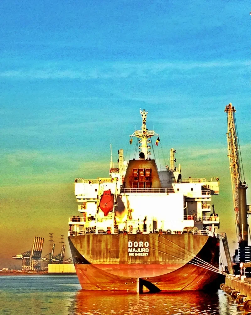 DORO Bulk Carrier IMO 9492397 photo 9