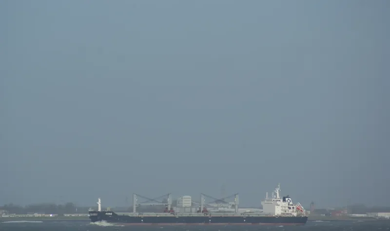 DORO Bulk Carrier IMO 9492397 photo 10