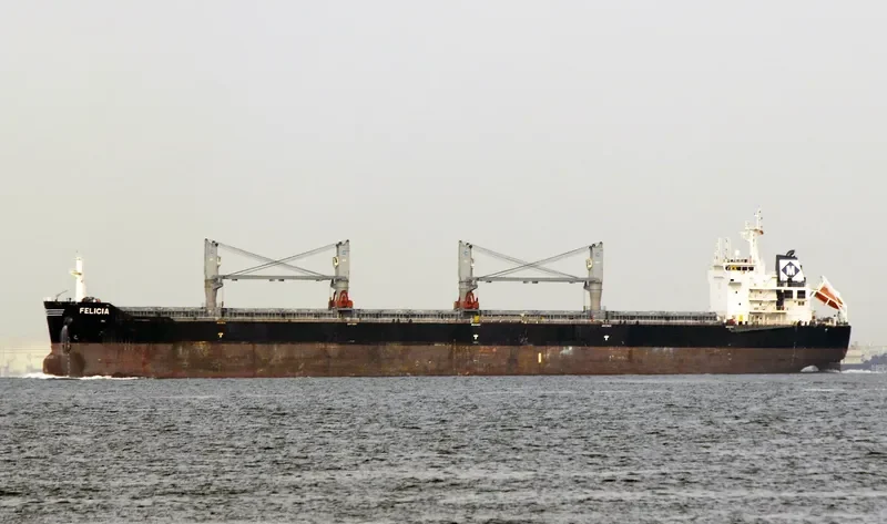 SUPRA ONIKI Bulk Carrier IMO 9492414 photo 10