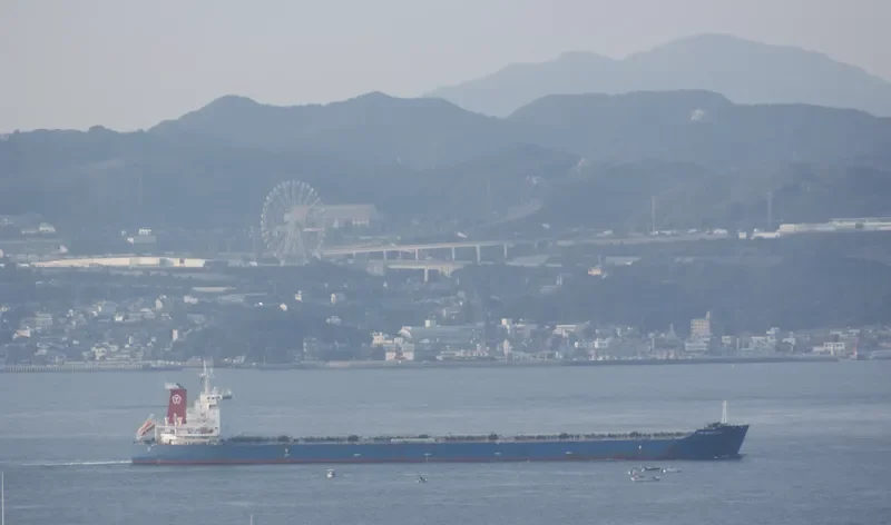 LMZ CERES Bulk Carrier IMO 9492490 photo 3