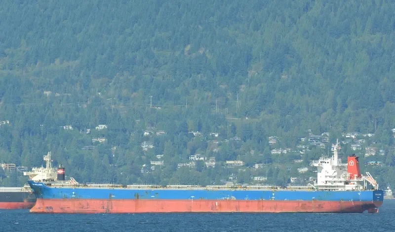 LMZ CERES Bulk Carrier IMO 9492490 photo 4