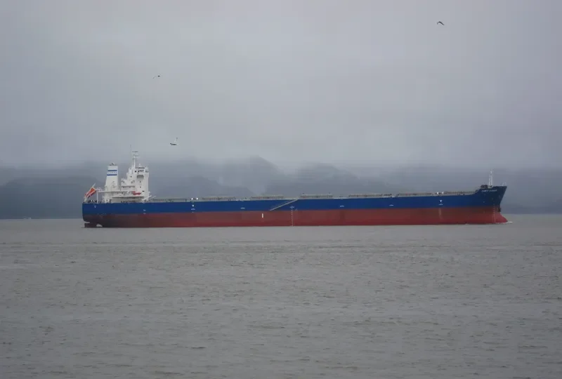 LMZ CERES Bulk Carrier IMO 9492490 photo 10