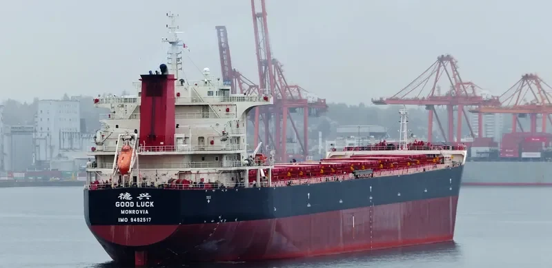 GOOD LUCK Bulk Carrier IMO 9492517 photo 7