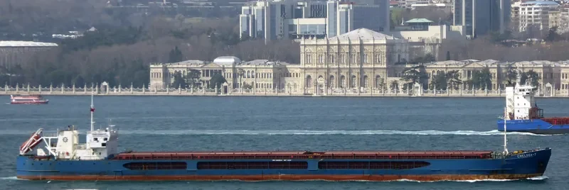 CHELSEA 7 General Cargo IMO 9492634