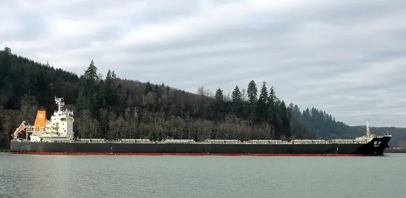 PEACE Bulk Carrier IMO 9492725 photo 5