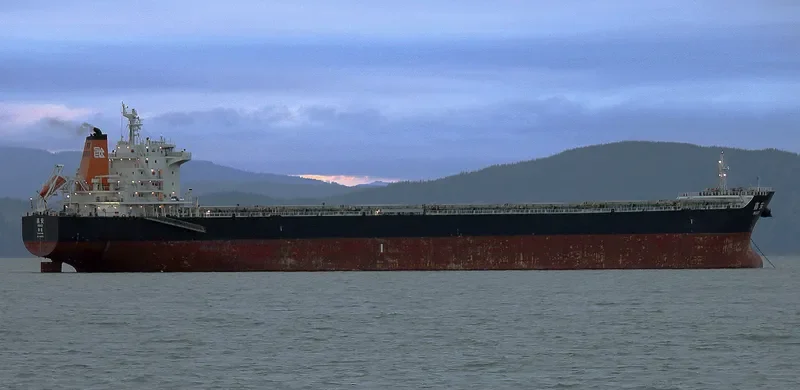 PEACE Bulk Carrier IMO 9492725 photo 7