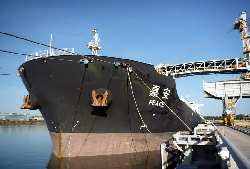PEACE Bulk Carrier IMO 9492725 photo 9