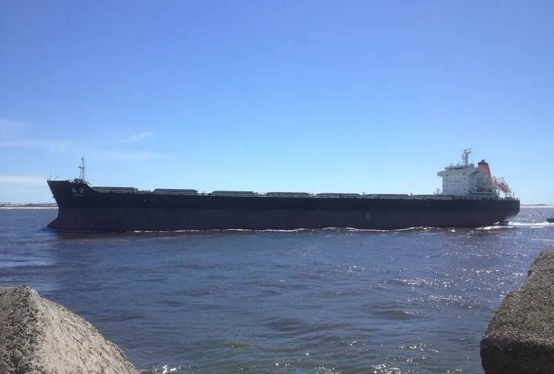 PEACE Bulk Carrier IMO 9492725 photo 10