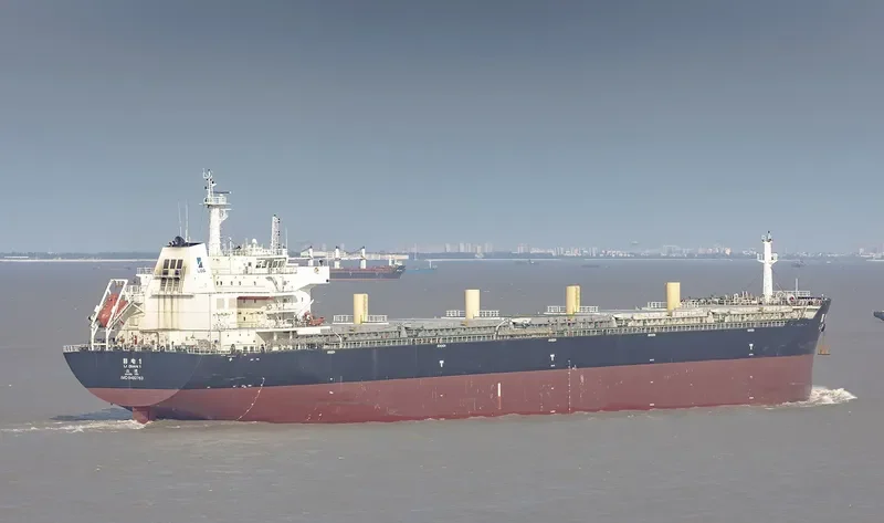 LI DIAN 1 Bulk Carrier IMO 9492763