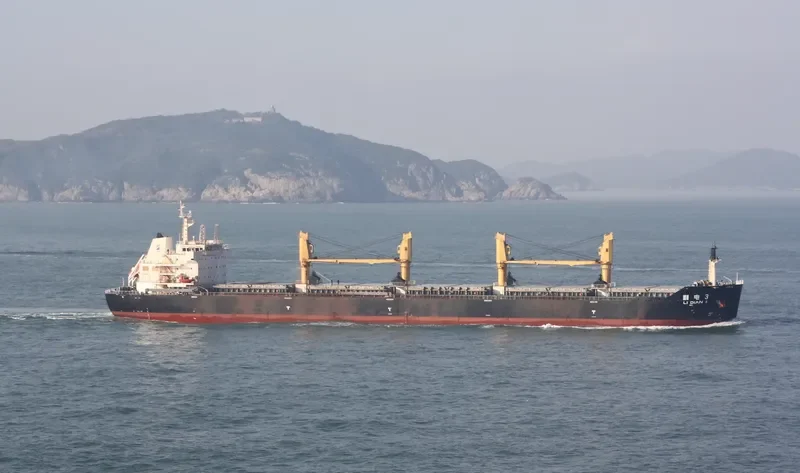 LI DIAN 3 Bulk Carrier IMO 9492787 photo 2