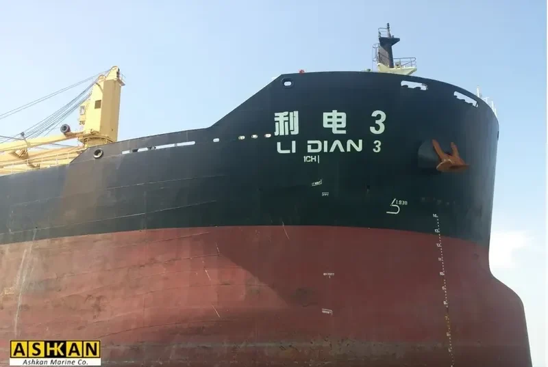 LI DIAN 3 Bulk Carrier IMO 9492787 photo 4