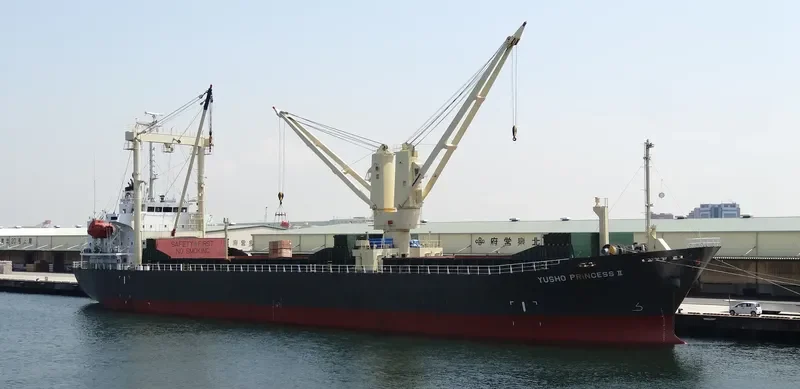 WOOYANG PRINCESS General Cargo IMO 9492866 photo 6