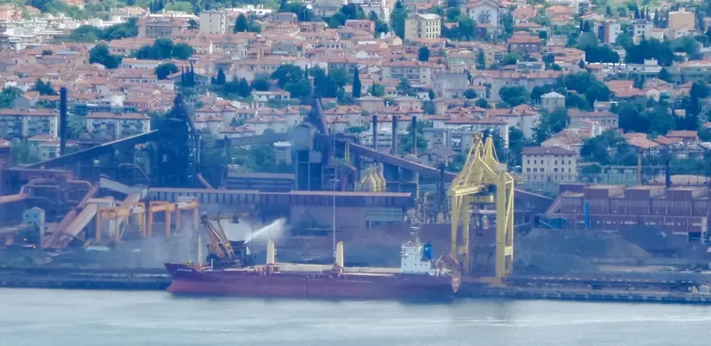 NAVIN FALCON General Cargo IMO 9492933 photo 3