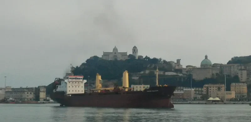 NAVIN FALCON General Cargo IMO 9492933 photo 4