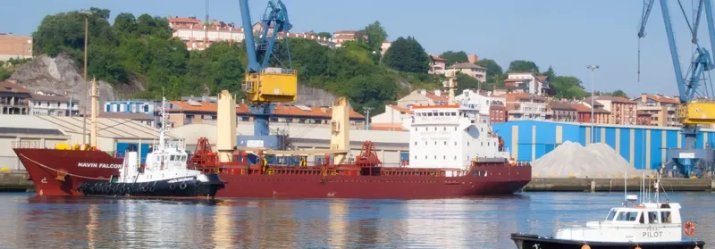 NAVIN FALCON General Cargo IMO 9492933 photo 6