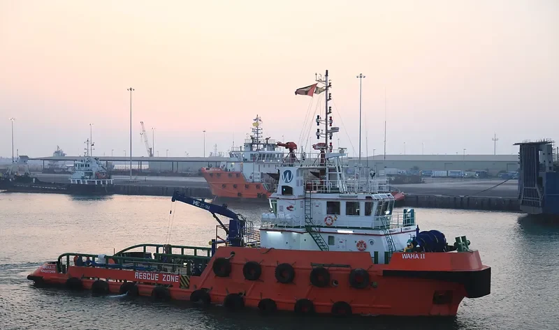 STANFORD SEAL General Cargo IMO 9492983