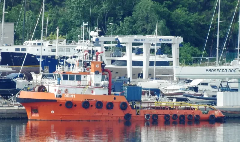 ODIN 1 General Cargo IMO 9492995 photo 4