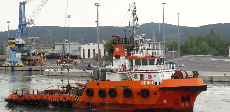 ODIN 1 General Cargo IMO 9492995 photo 10