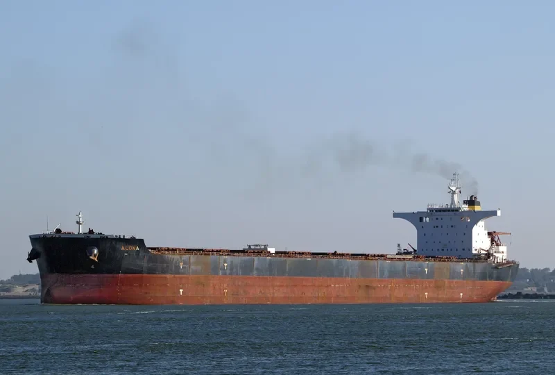 ALONA Bulk Carrier IMO 9493016 photo 3