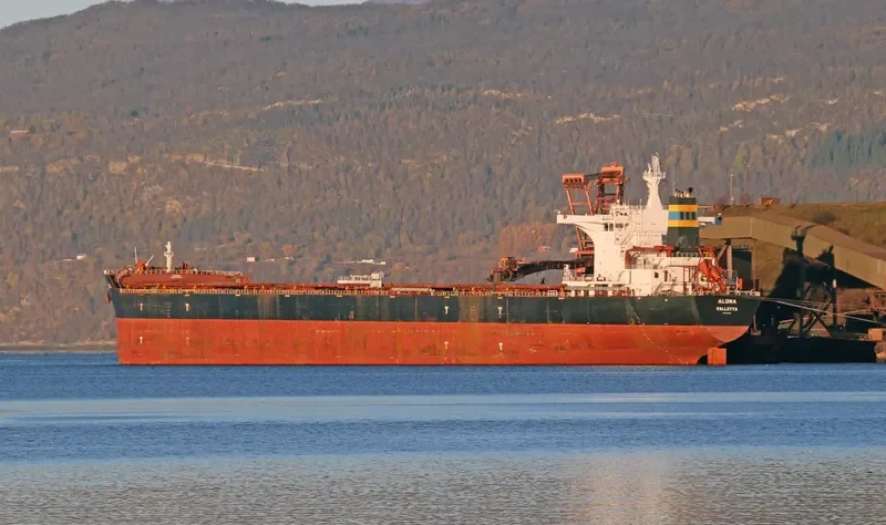 ALONA Bulk Carrier IMO 9493016 photo 7