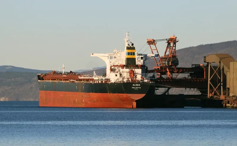 ALONA Bulk Carrier IMO 9493016 photo 8