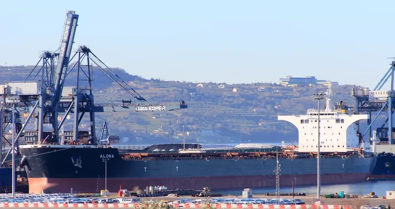 ALONA Bulk Carrier IMO 9493016 photo 10