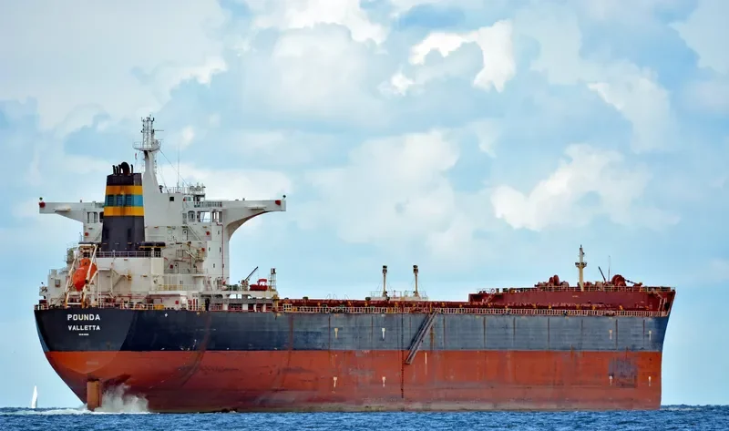 POUNDA Bulk Carrier IMO 9493028 photo 4