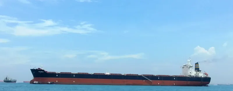 POUNDA Bulk Carrier IMO 9493028 photo 6
