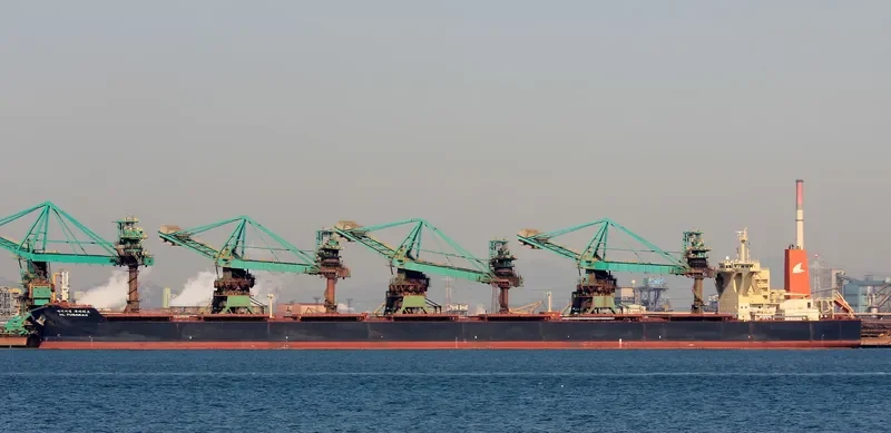 HL TUBARAO Bulk Carrier IMO 9493054 photo 5