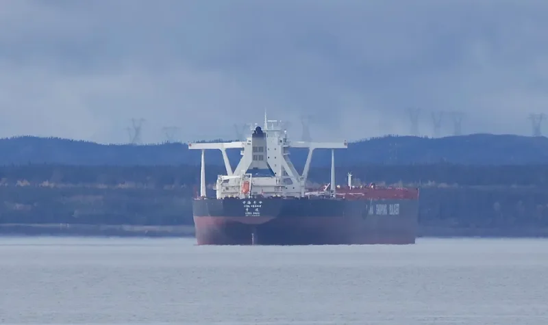 CSB YEARS Bulk Carrier IMO 9493092