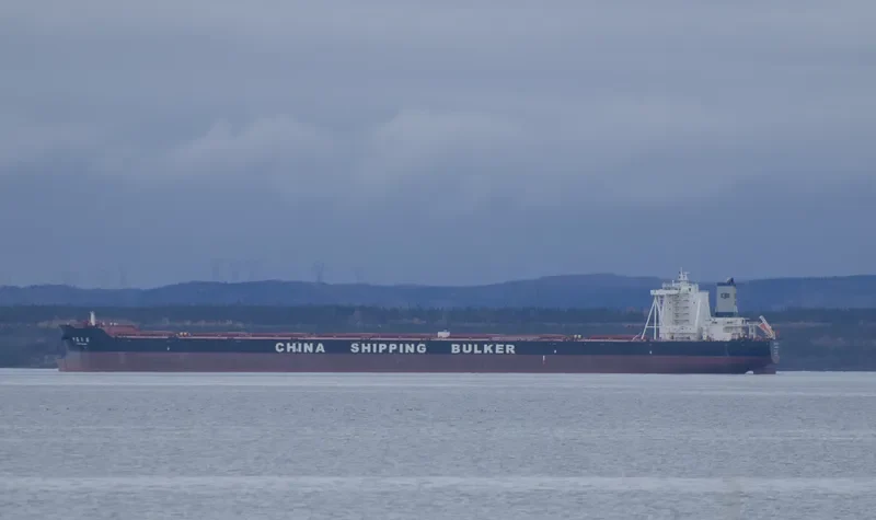 CSB YEARS Bulk Carrier IMO 9493092 photo 2
