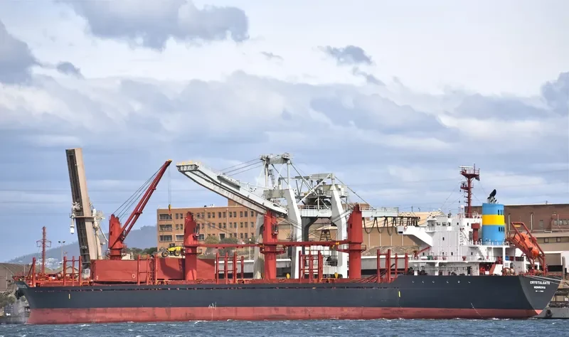 DMC NEPTUNE Bulk Carrier IMO 9493200