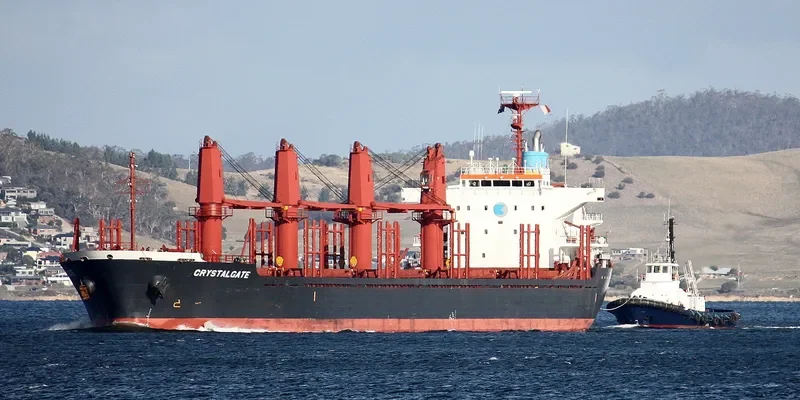 DMC NEPTUNE Bulk Carrier IMO 9493200 photo 2