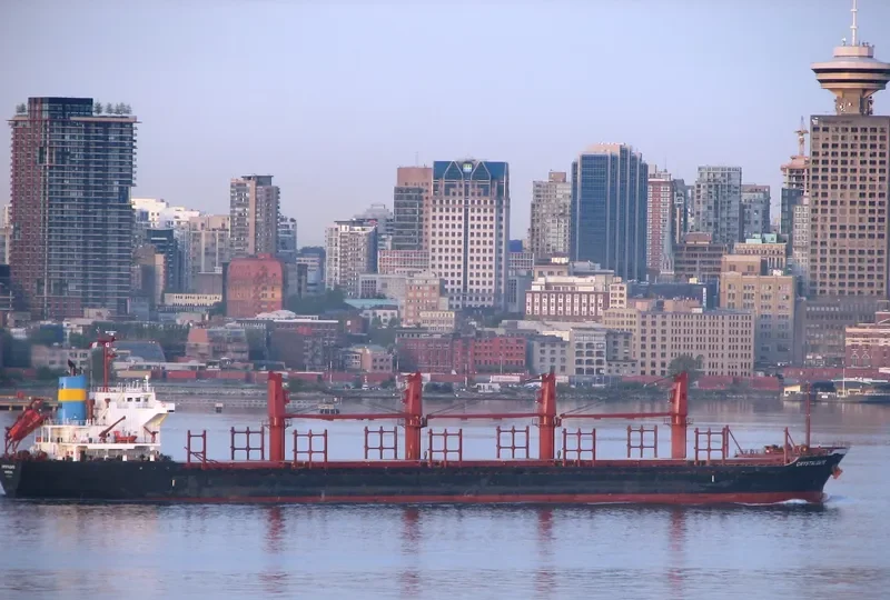 DMC NEPTUNE Bulk Carrier IMO 9493200 photo 5