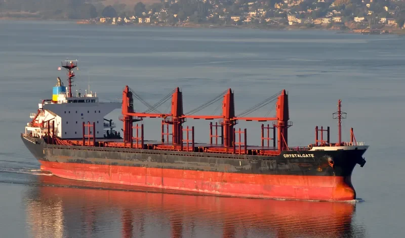 DMC NEPTUNE Bulk Carrier IMO 9493200 photo 8