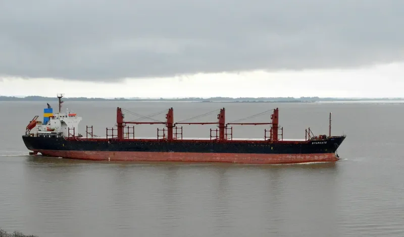 GOLDEN ARSENAL Bulk Carrier IMO 9493212 photo 2
