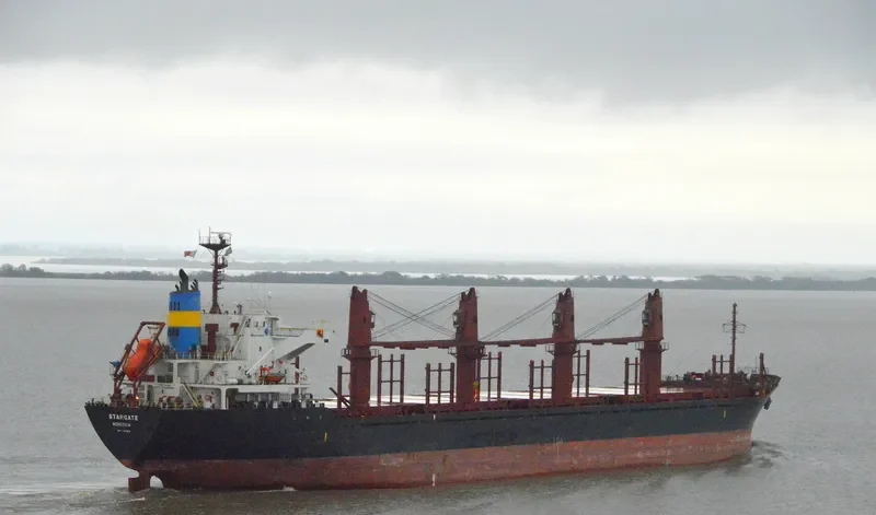 GOLDEN ARSENAL Bulk Carrier IMO 9493212 photo 3