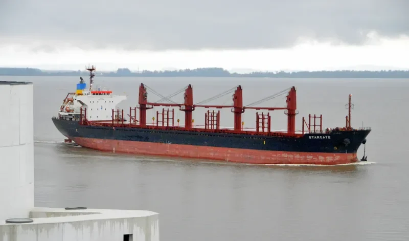 GOLDEN ARSENAL Bulk Carrier IMO 9493212 photo 4