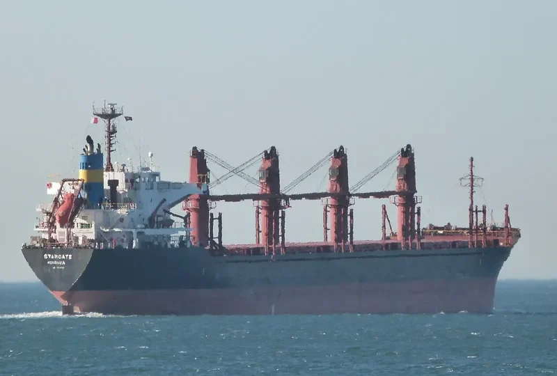GOLDEN ARSENAL Bulk Carrier IMO 9493212 photo 5