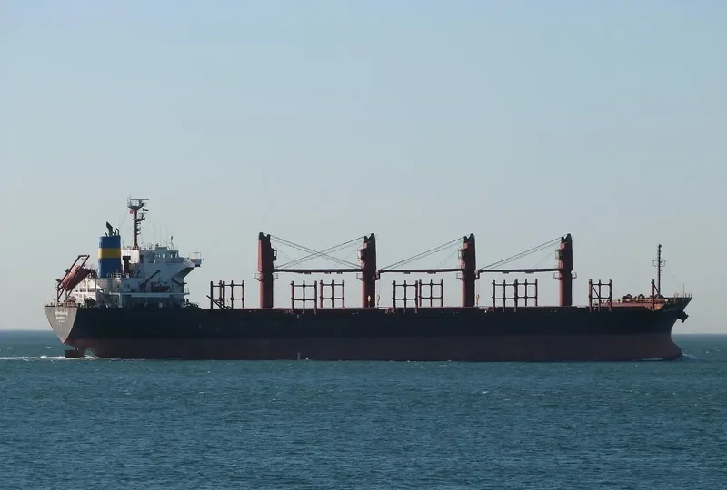 GOLDEN ARSENAL Bulk Carrier IMO 9493212 photo 6