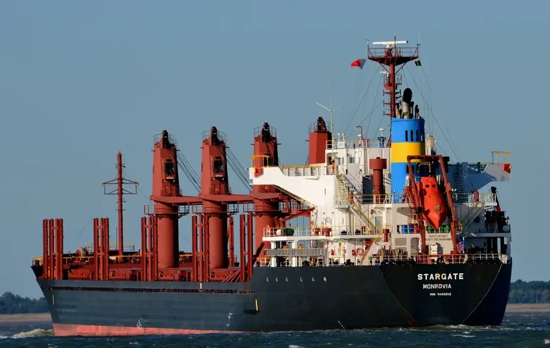 GOLDEN ARSENAL Bulk Carrier IMO 9493212 photo 7