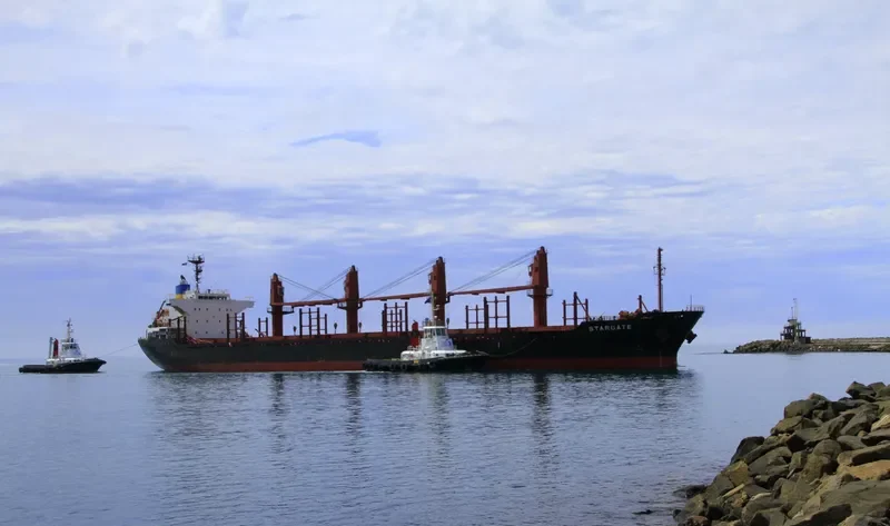 GOLDEN ARSENAL Bulk Carrier IMO 9493212 photo 8