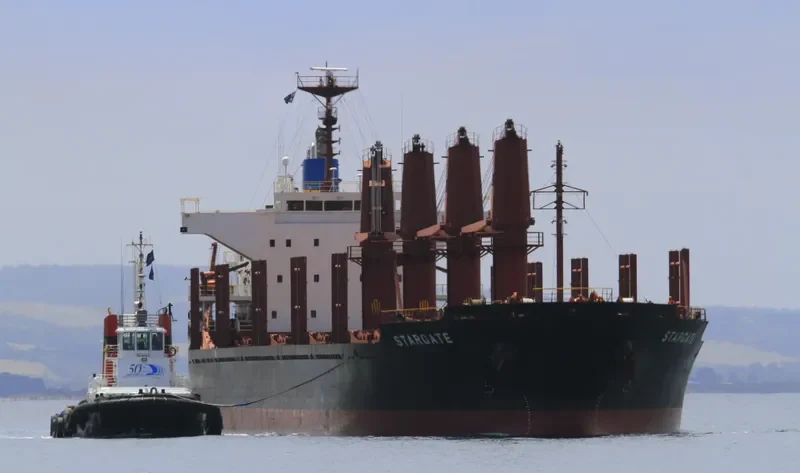 GOLDEN ARSENAL Bulk Carrier IMO 9493212 photo 9