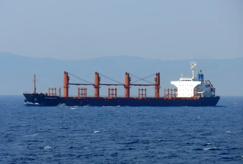 GOLDEN ARSENAL Bulk Carrier IMO 9493212 photo 10