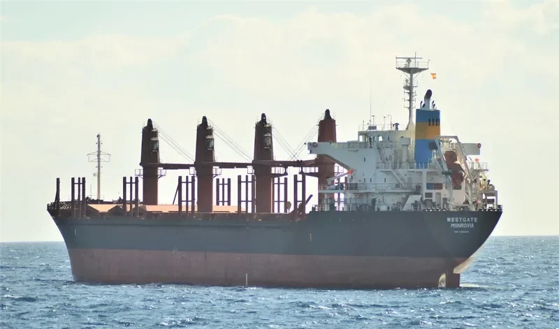 AMIRA SOPHIE Bulk Carrier IMO 9493224