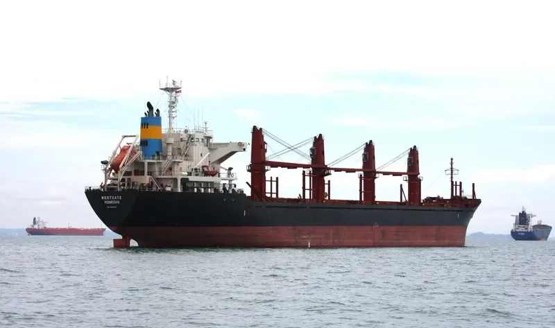 AMIRA SOPHIE Bulk Carrier IMO 9493224 photo 3