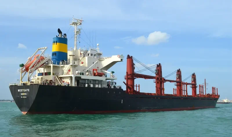 AMIRA SOPHIE Bulk Carrier IMO 9493224 photo 7