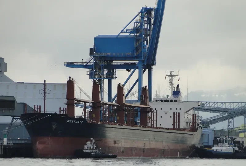 AMIRA SOPHIE Bulk Carrier IMO 9493224 photo 8