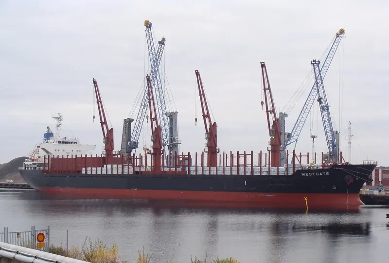 AMIRA SOPHIE Bulk Carrier IMO 9493224 photo 9