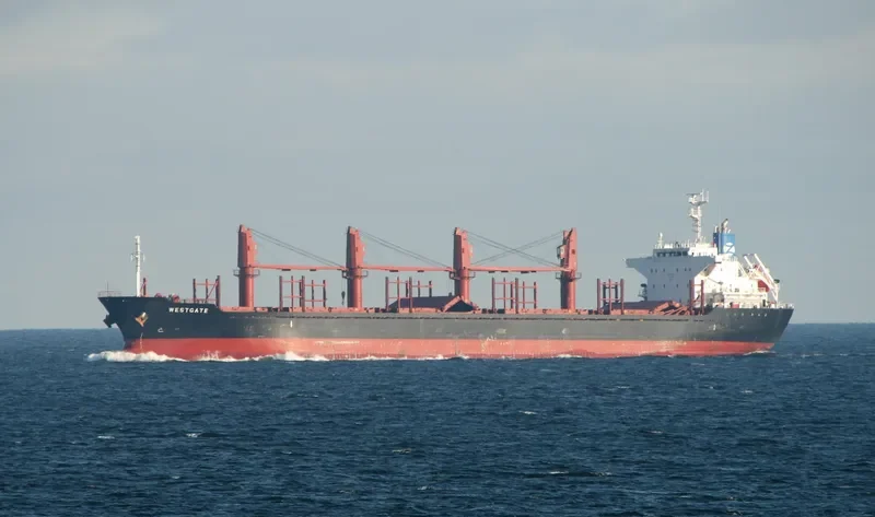 AMIRA SOPHIE Bulk Carrier IMO 9493224 photo 10